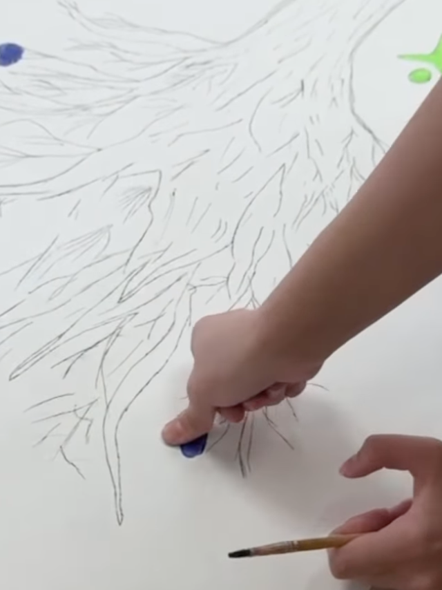 Dosbollike акциясы